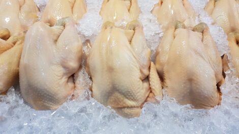 How to Butcher a Chicken Step by Step Image